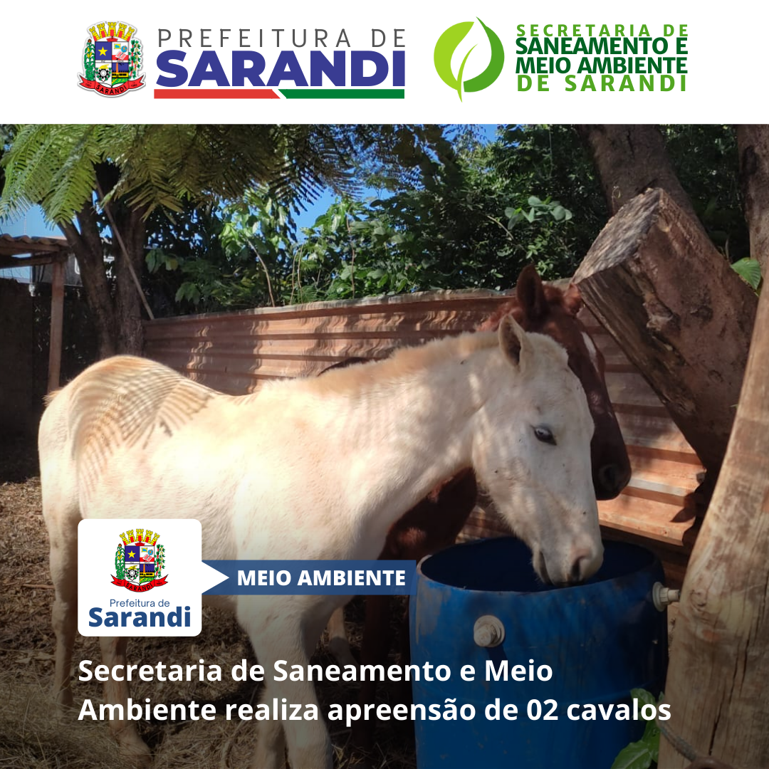 Secretaria de Saneamento e Meio Ambiente realiza apreensão de 02 cavalos